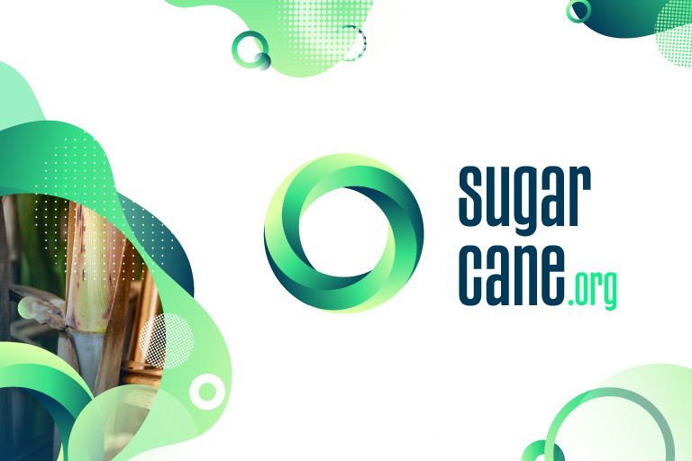 Sugarcane harvest for the first half of February 2021