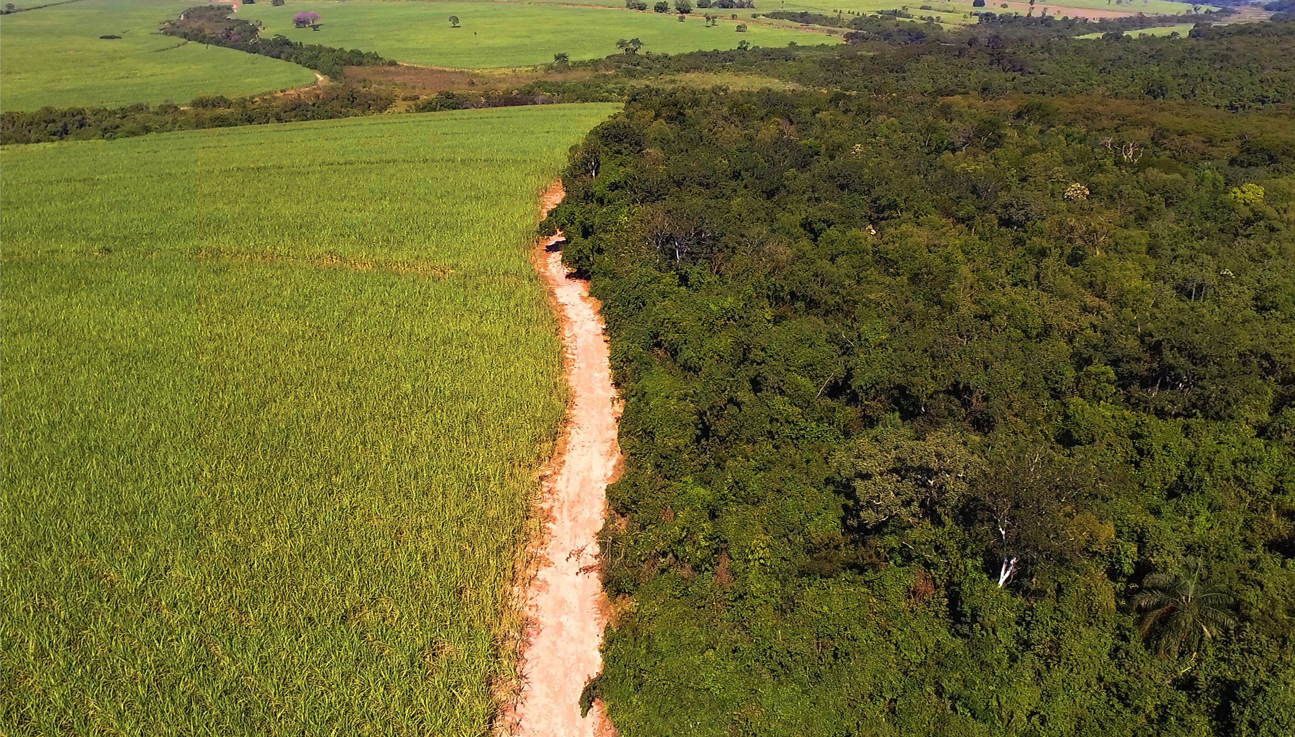 A historic moment for Mercosur and the EU, a new horizon for sugarcane