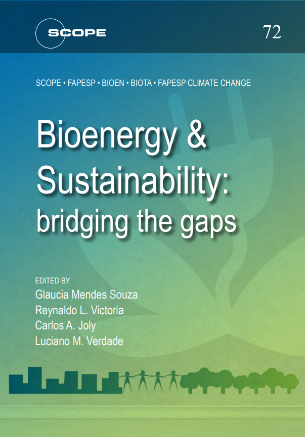 Bioenergy & Sustainability: bridging the gaps