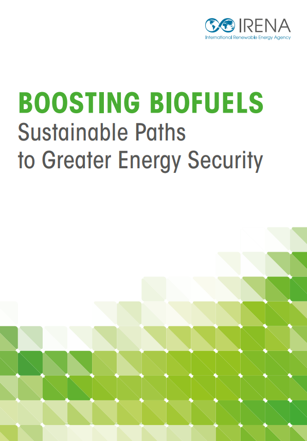 Boosting Biofuels: Sustainable Paths to Greater Energy Security