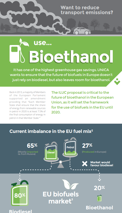 Support an EU Sub-target for Renewables in Petrol