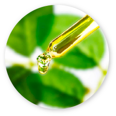 COSMETICS COSMETICS