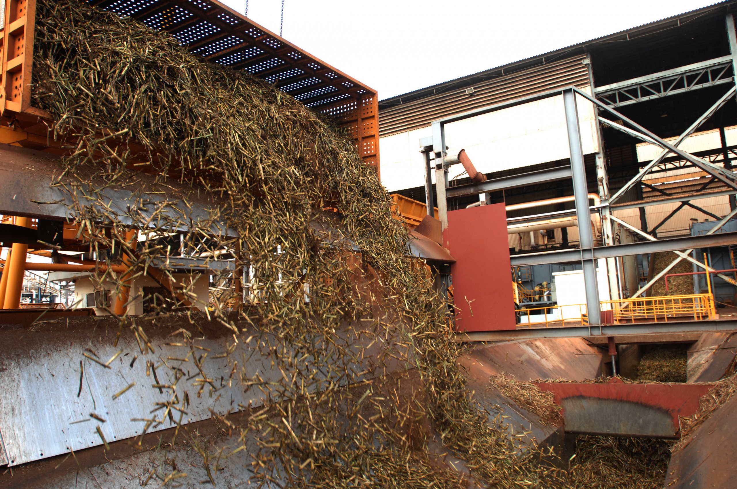 Sugarcane harvest for the first half of July 2020