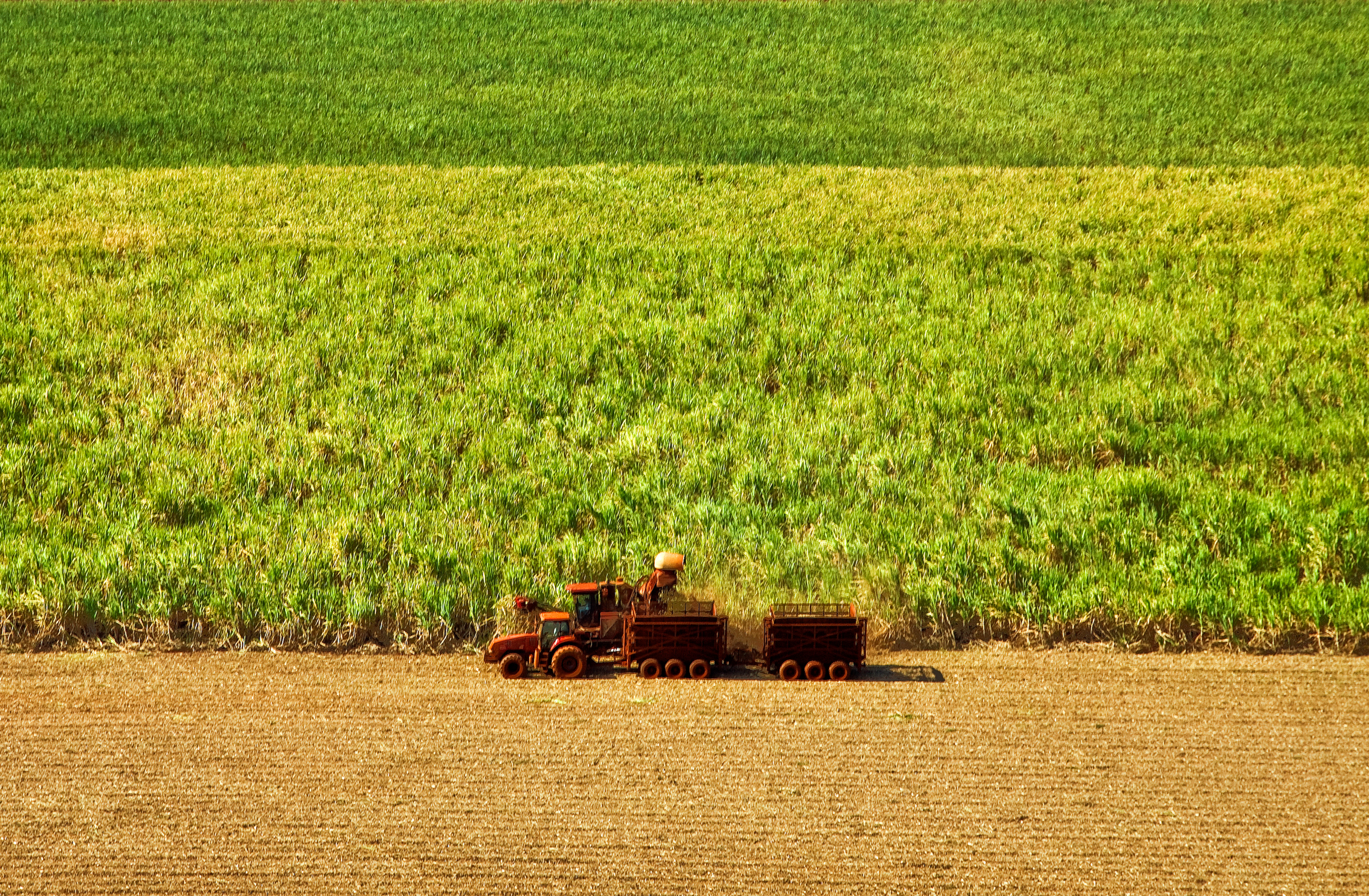 Sugarcane harvest for the first half of August 2021