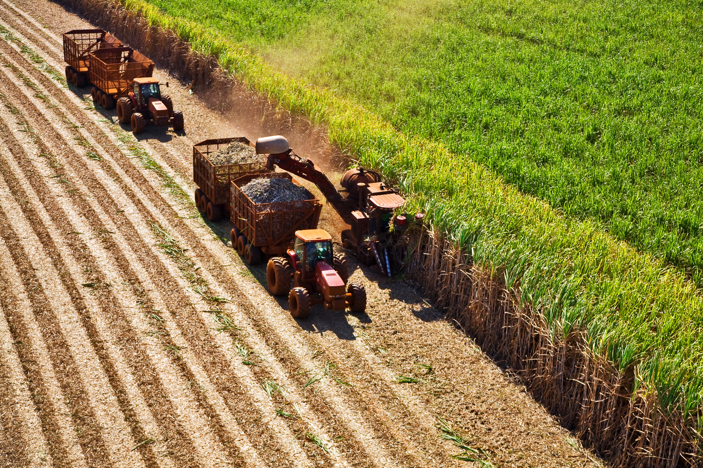 HARVEST