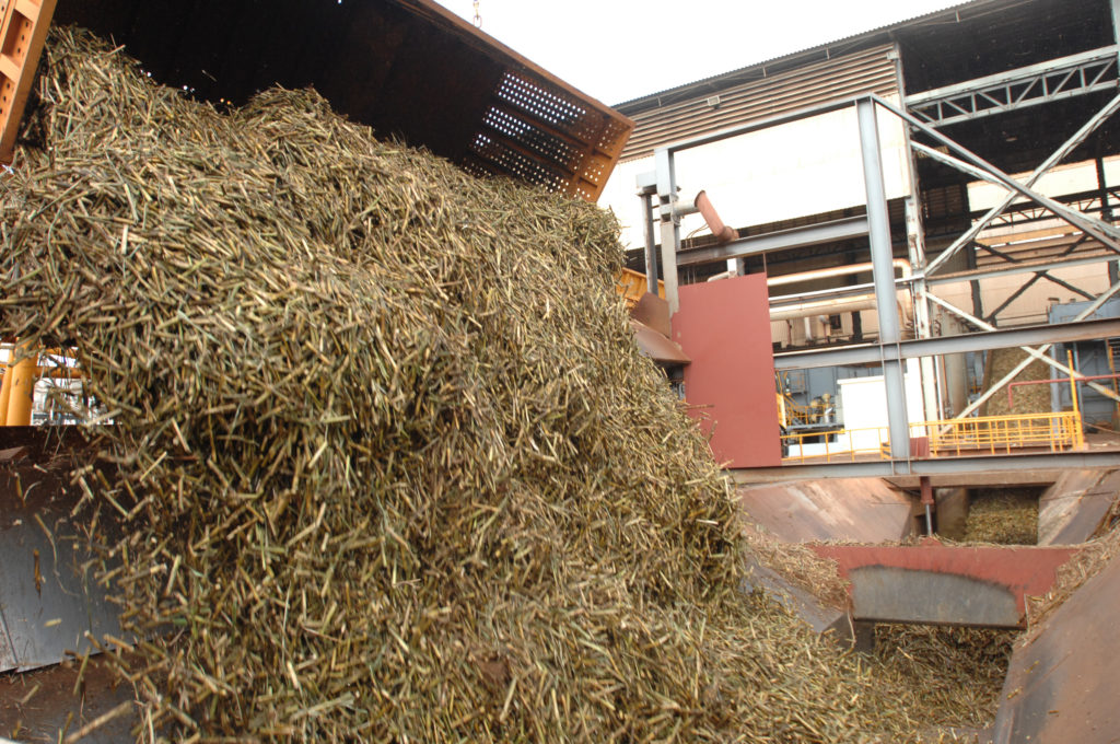 SUGARCANE PROCESSING