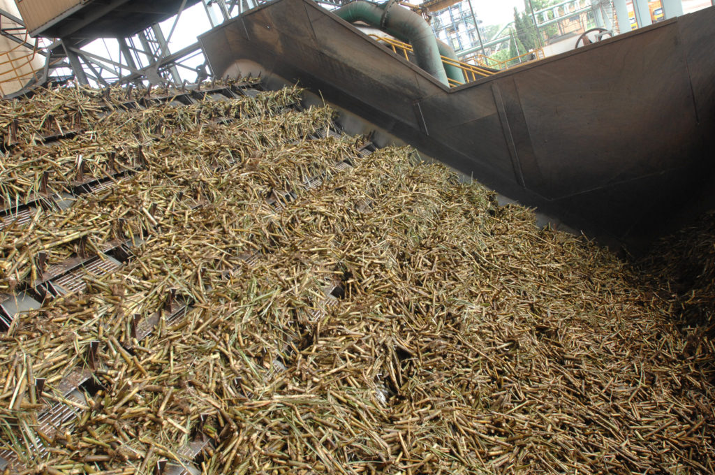 SUGARCANE PROCESSING