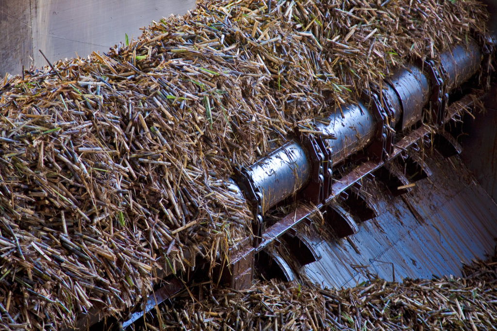 SUGARCANE PROCESSING