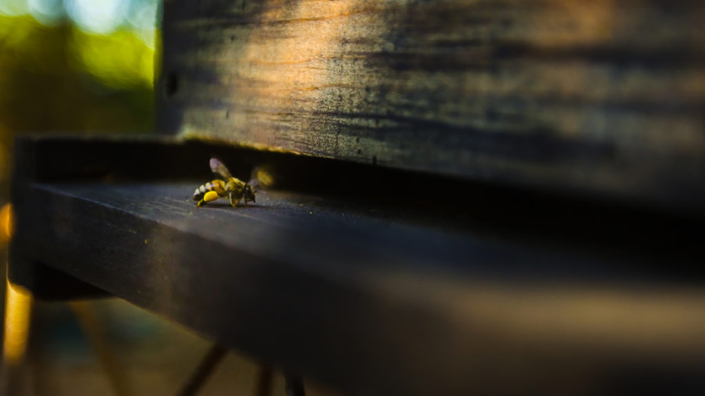 ENVIRONMENTAL PROTECTION