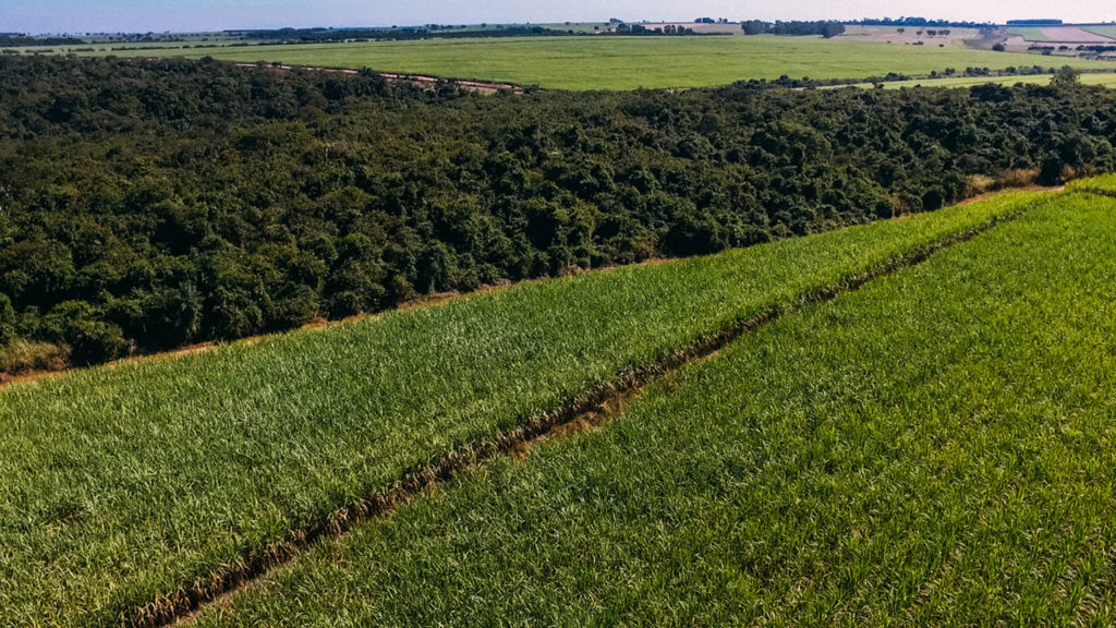 ENVIRONMENTAL PROTECTION