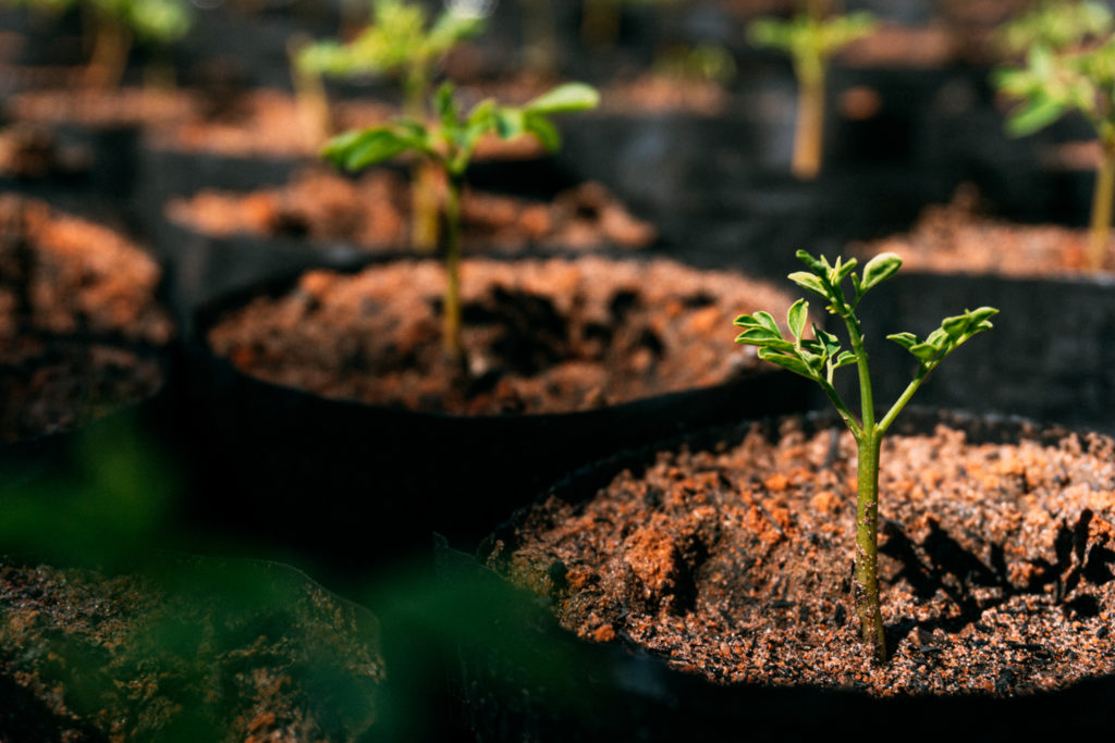 ENVIRONMENTAL PROTECTION