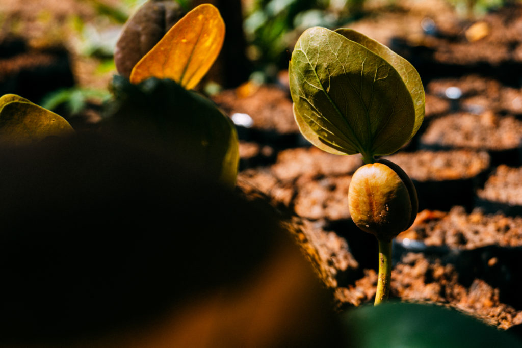 ENVIRONMENTAL PROTECTION