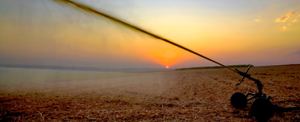 ORGANIC FERTILIZERS ORGANIC FERTILIZERS