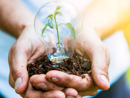 BIOELECTRICITY BENEFITS BIOELECTRICITY BENEFITS