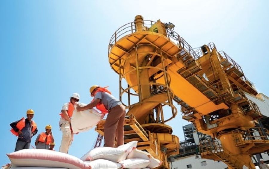 Employees sort grain bags at a storage facility of COFCO Eastocean Oil and Grain Industries (Zhangjiagang) Co Ltd, a COFCO unit, in September,2020. [Photo/CHINA DAILY]