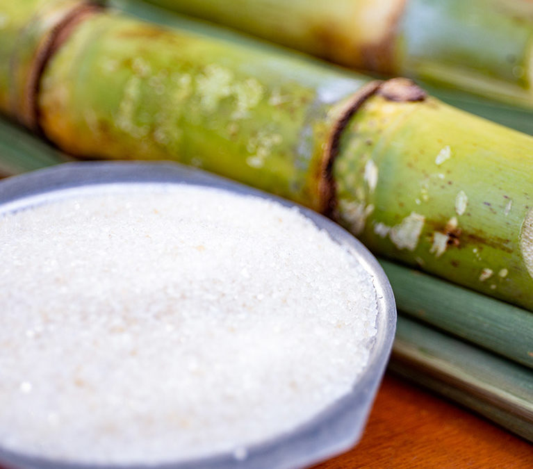 Sustainability of sugarcane production